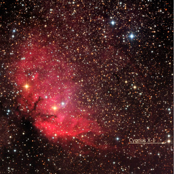 Tulip Nebula and X-1